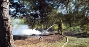 На Волині за день ліквідували три пожежі в екосистемах