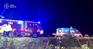 На автодорозі в Маневицькій громаді вантажівка з’їхала в кювет, водія деблокували рятувальники