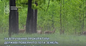 Державі повернули 70 гектарів земель НПП «Цуманська пуща»