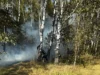На Волині за добу загасили п’ять пожеж в екосистемах