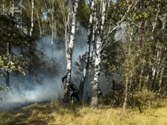 На Волині за добу загасили п’ять пожеж в екосистемах