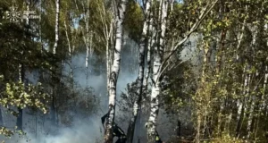 На Волині за добу загасили п’ять пожеж в екосистемах