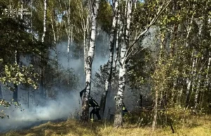 На Волині за добу загасили п’ять пожеж в екосистемах