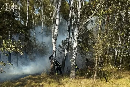 На Волині за добу загасили п’ять пожеж в екосистемах