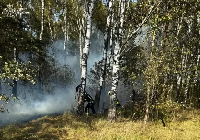 image На Волині за добу загасили п’ять пожеж в екосистемах