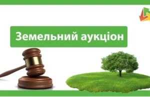 У селі Садів на електронному аукціоні продадуть право оренди землі