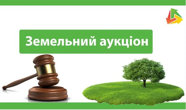image У селі Садів на електронному аукціоні продадуть право оренди землі