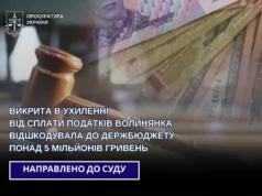 Волинянка відшкодувала понад 5 мільйонів гривень податків після розслідування
