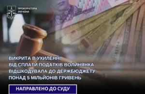 Волинянка відшкодувала понад 5 мільйонів гривень податків після розслідування