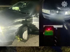 Поблизу Луцька п’яний водій Skoda спричинив ДТП на трасі М-19