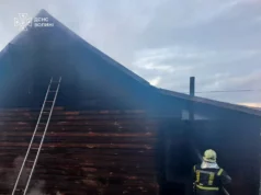 На Волині за добу загорілися дві господарські споруди