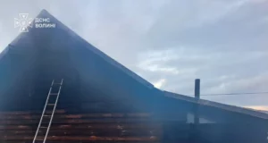 На Волині за добу загорілися дві господарські споруди